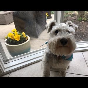 Meet your Posher, Giota